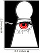 spy eye Wall Mural