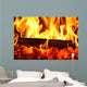 Fire I Wall Mural