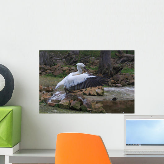 Storch Wall Mural