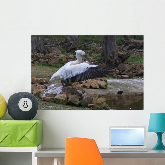 Storch Wall Mural