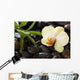 Bamboo and Orchid Wall Mural