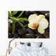 Bamboo and Orchid Wall Mural