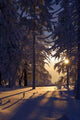 Winter Landscape Wall Decal Design 1