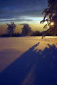 Winter Wall Decal Design 1