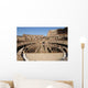 Coliseum Rome Wall Decal