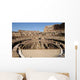 Coliseum Rome Wall Decal