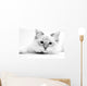 Cat Wall Mural