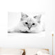 Cat Wall Mural