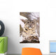 Snow Leopard Wall Mural
