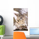Snow Leopard Wall Mural