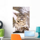 Snow Leopard Wall Mural