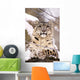 Snow Leopard Wall Mural