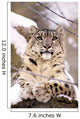 Snow Leopard Wall Mural