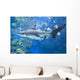 Pirate's Cove Black-tip Shark Wall Decal