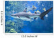 Big Shark in Water Wall Mural