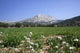 La Sainte Victoire Au Wall Decal