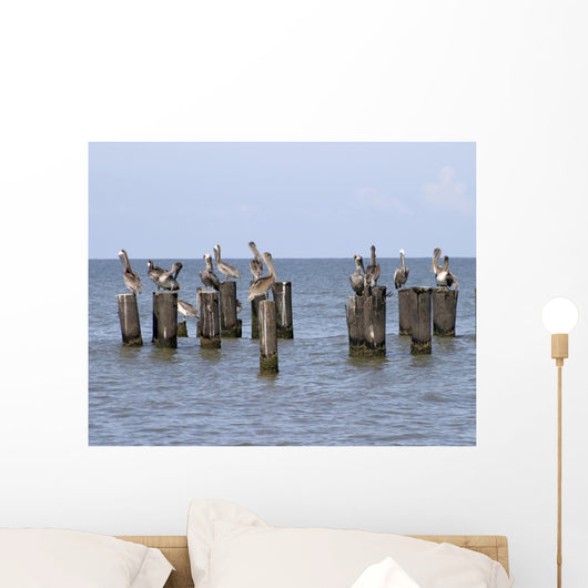 Gulls Waiting