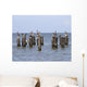 Gulls Waiting