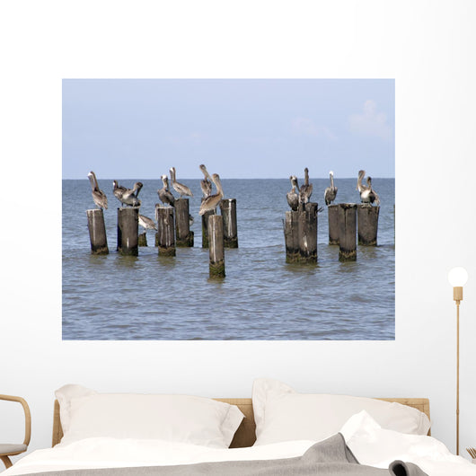 Gulls Waiting
