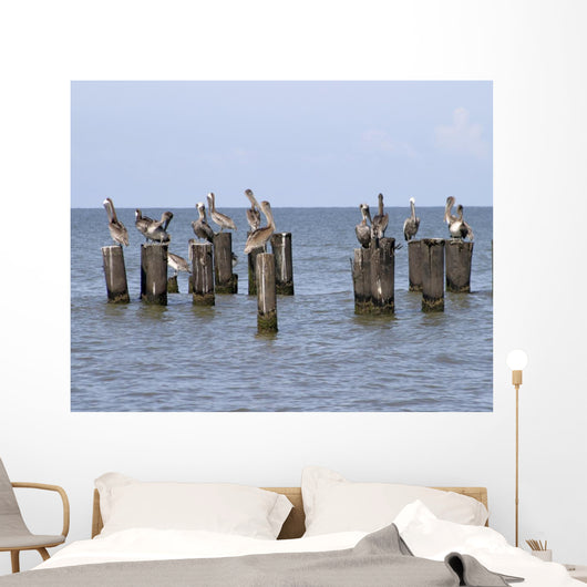 Gulls Waiting