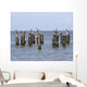 Gulls Waiting