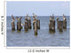 Gulls Waiting