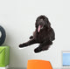Newfoundland Dog White Wall Decal