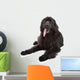 Newfoundland Dog White Wall Decal