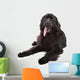Newfoundland Dog White Wall Decal