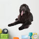 Newfoundland Dog White Wall Decal