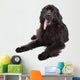 Newfoundland Dog White Wall Decal