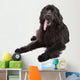 Newfoundland Dog White Wall Decal