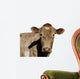 A Jersey Cow Wall Decal