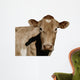 A Jersey Cow Wall Decal