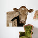 A Jersey Cow Wall Decal