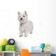 West Highland White Terrier Wall Decal