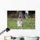 Kaninchen