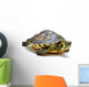 Yellow-bellied slider Wall Decal