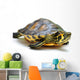 Yellow-bellied slider Wall Decal