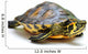 Yellow-bellied slider Wall Decal
