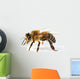 Western Honey Bee