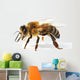 Western Honey Bee
