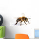 Western Honey Bee Wall Decal