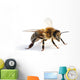 Western Honey Bee Wall Decal