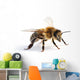 Western Honey Bee Wall Decal
