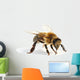 Close-Up Honey Bee Wall Decal