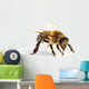 Close-Up Honey Bee Wall Decal
