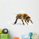Close-Up Honey Bee Wall Decal