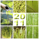 2011 green nature mount Wall Mural
