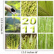 2011 green nature mount Wall Mural